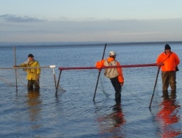 One Side Lies the Sea, a new Theatre Production - Solway Firth Partnership