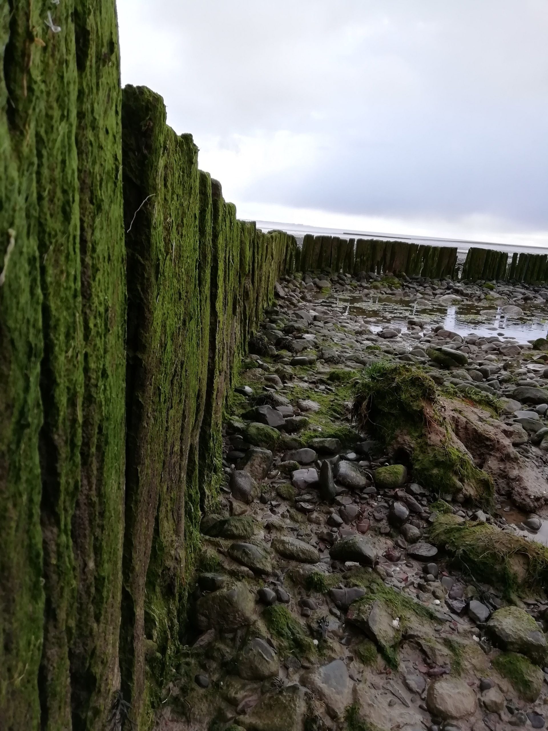 Solway Review Launched - Solway Firth Partnership