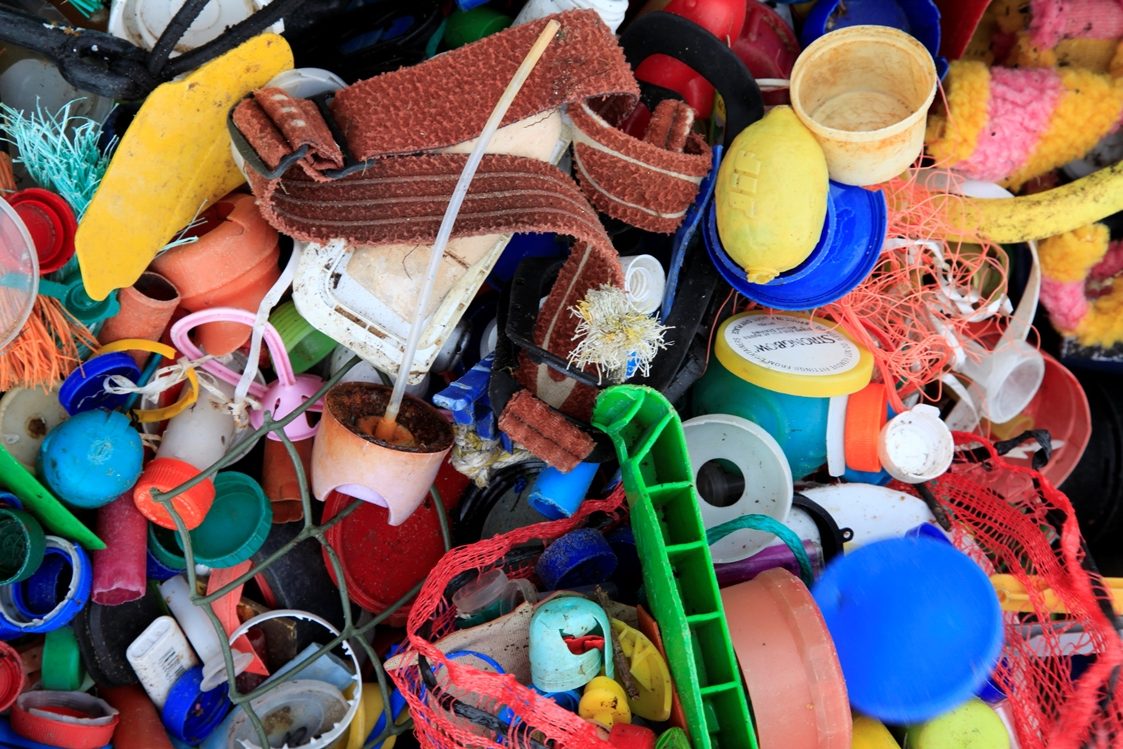 Plastic Challenge 2020 Solway Firth Partnership