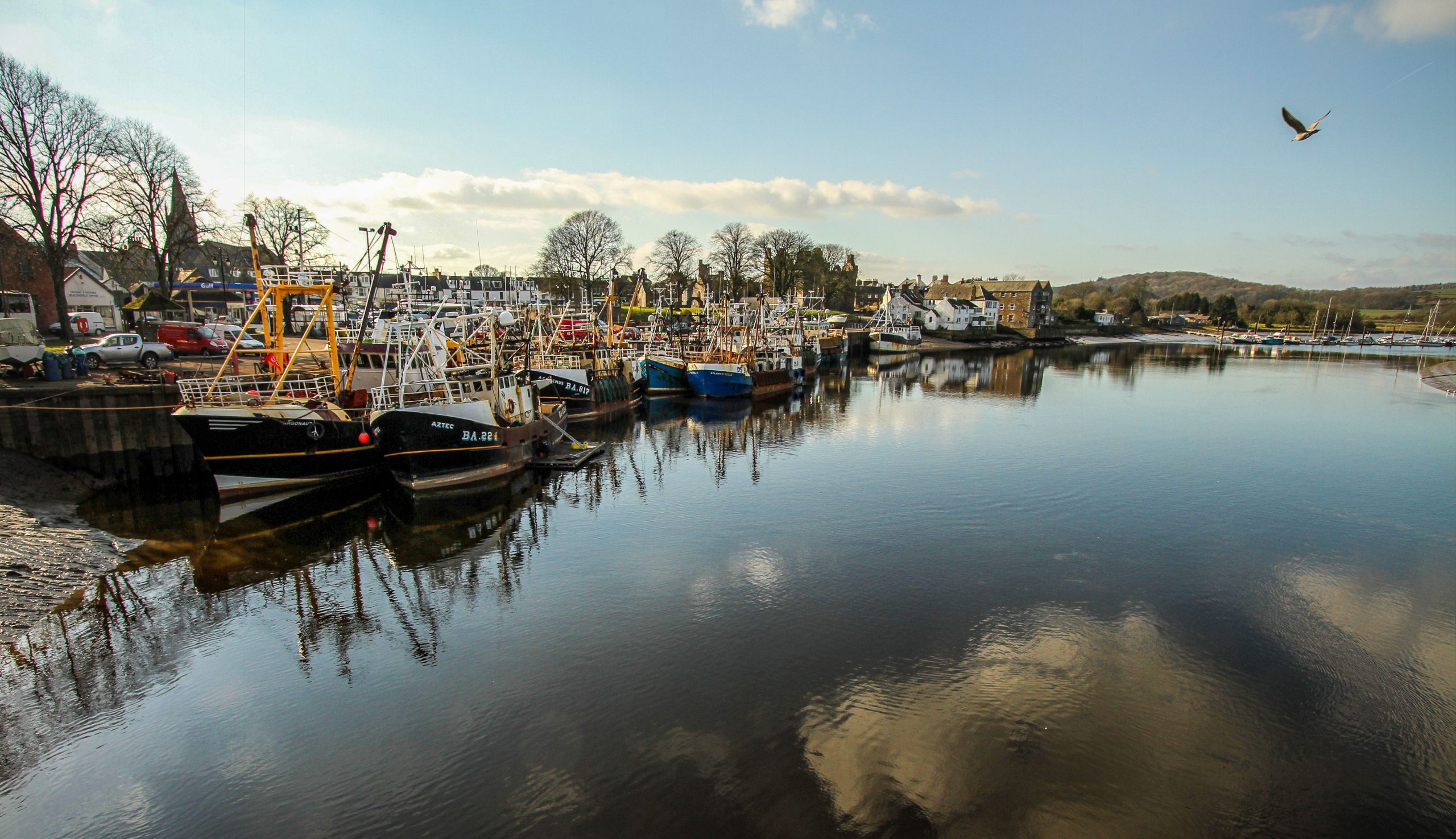 Next steps on Future Fisheries Management in Scotland - Solway Firth ...