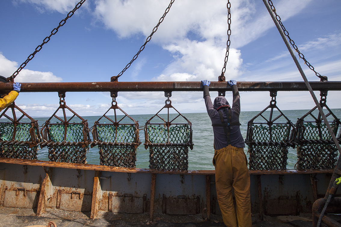 UK Fisheries Management Plans Published - Solway Firth Partnership