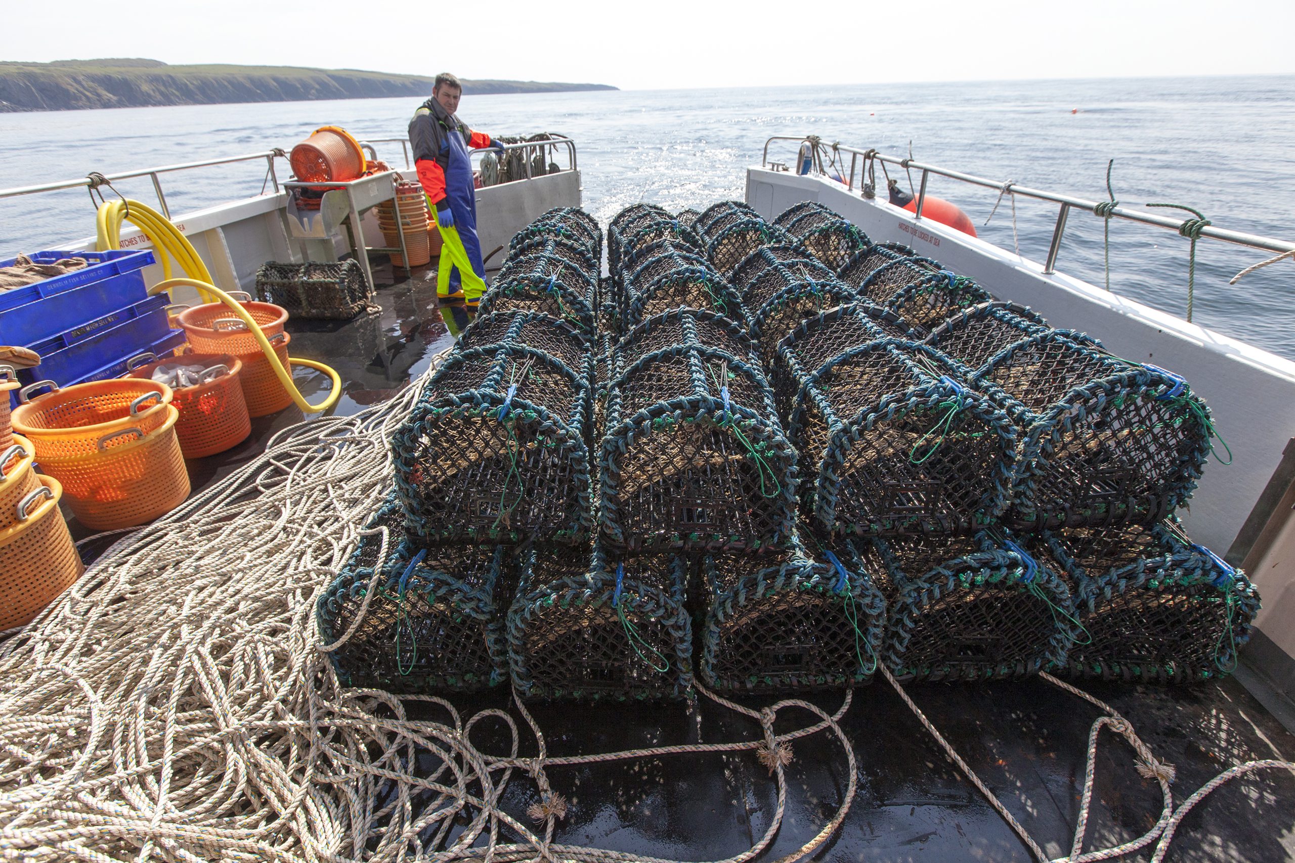 New fisheries measures announced in Scotland - Solway Firth Partnership