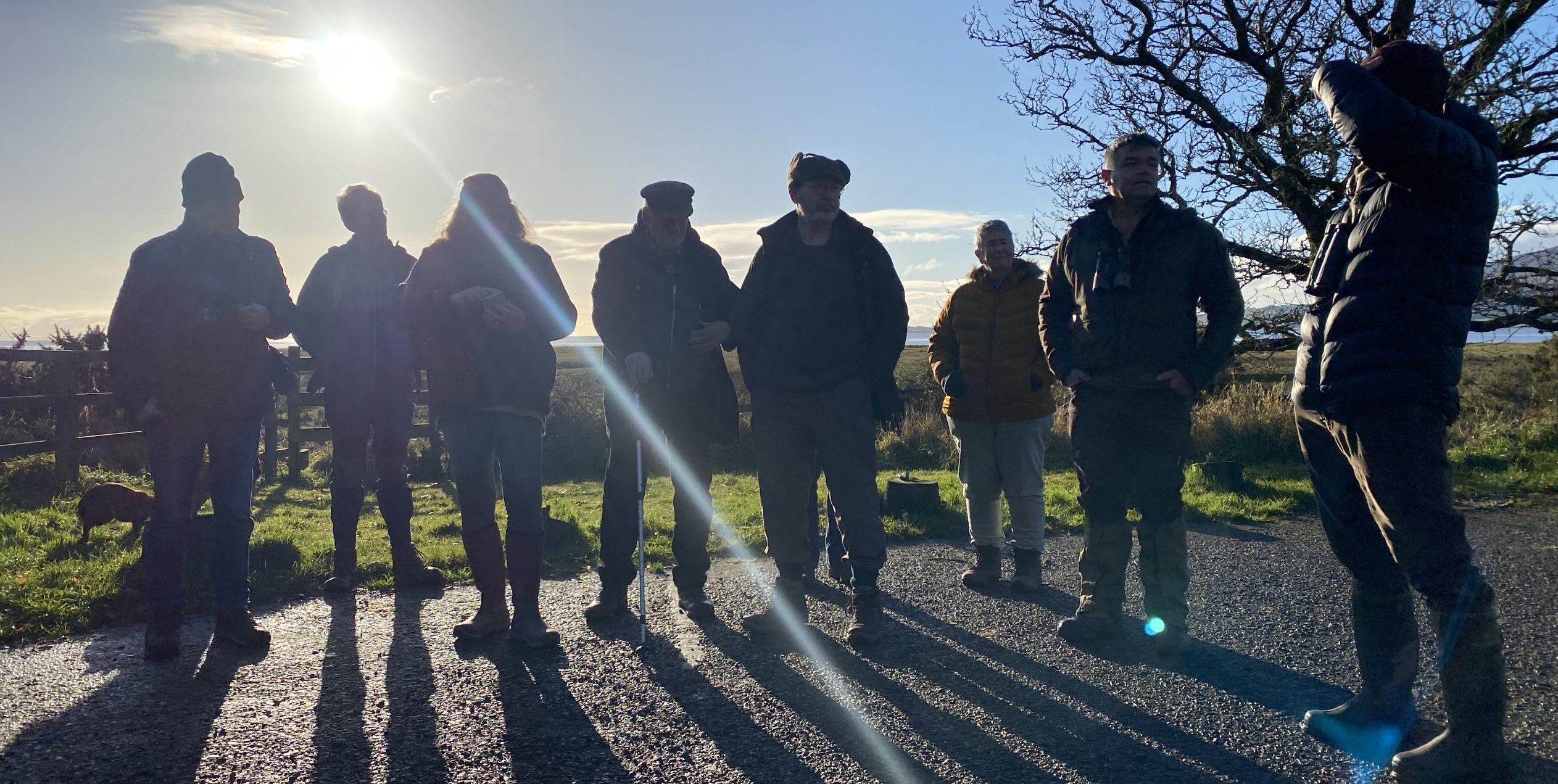Solway Coast & Marine Project Walk and Talk Events - Solway Firth ...
